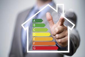 Home energy assessment