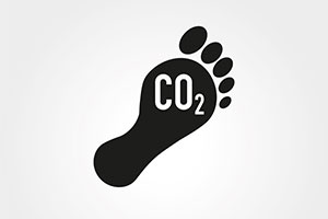 Carbon footprint